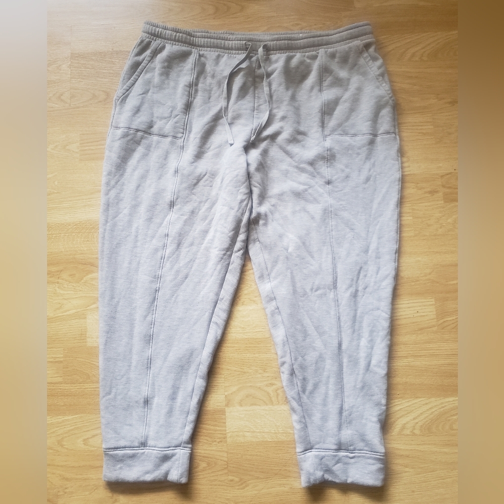 Haven Well Within Fleece joggers